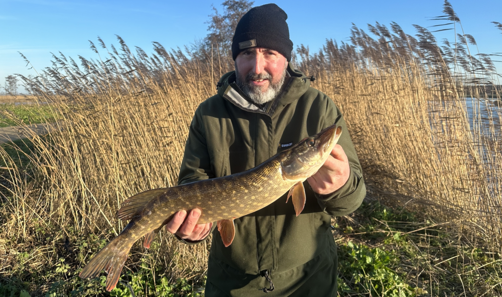 Brochet capturer dans les marais audomarois