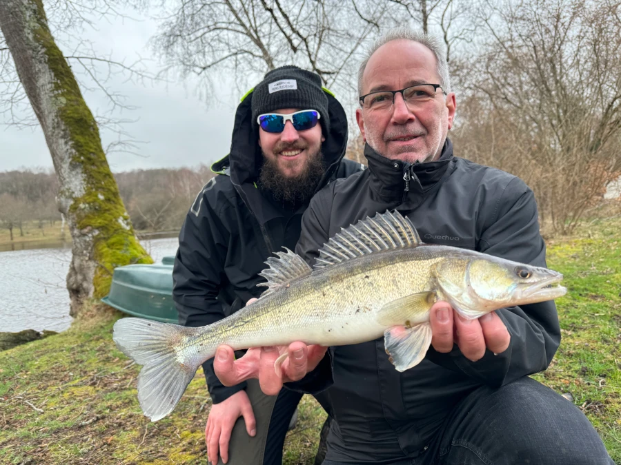Sandre capturé au leurre